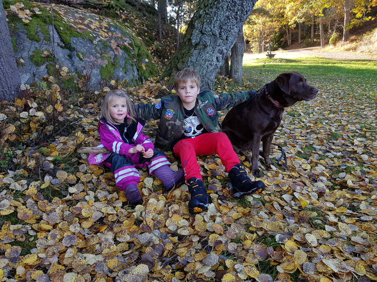 Tre barn i familjen Gahnström