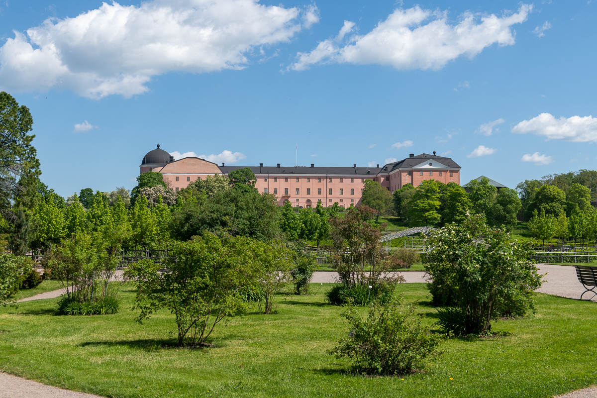 Uppsala slott från Botaniska trädgården