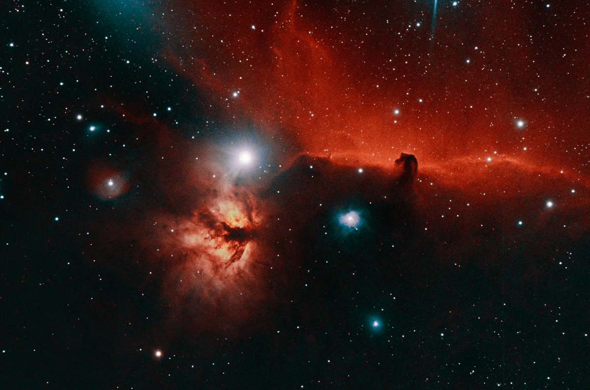 Hästhuvudnebulosan IC 434 och Flaming star nebula NGC 2024