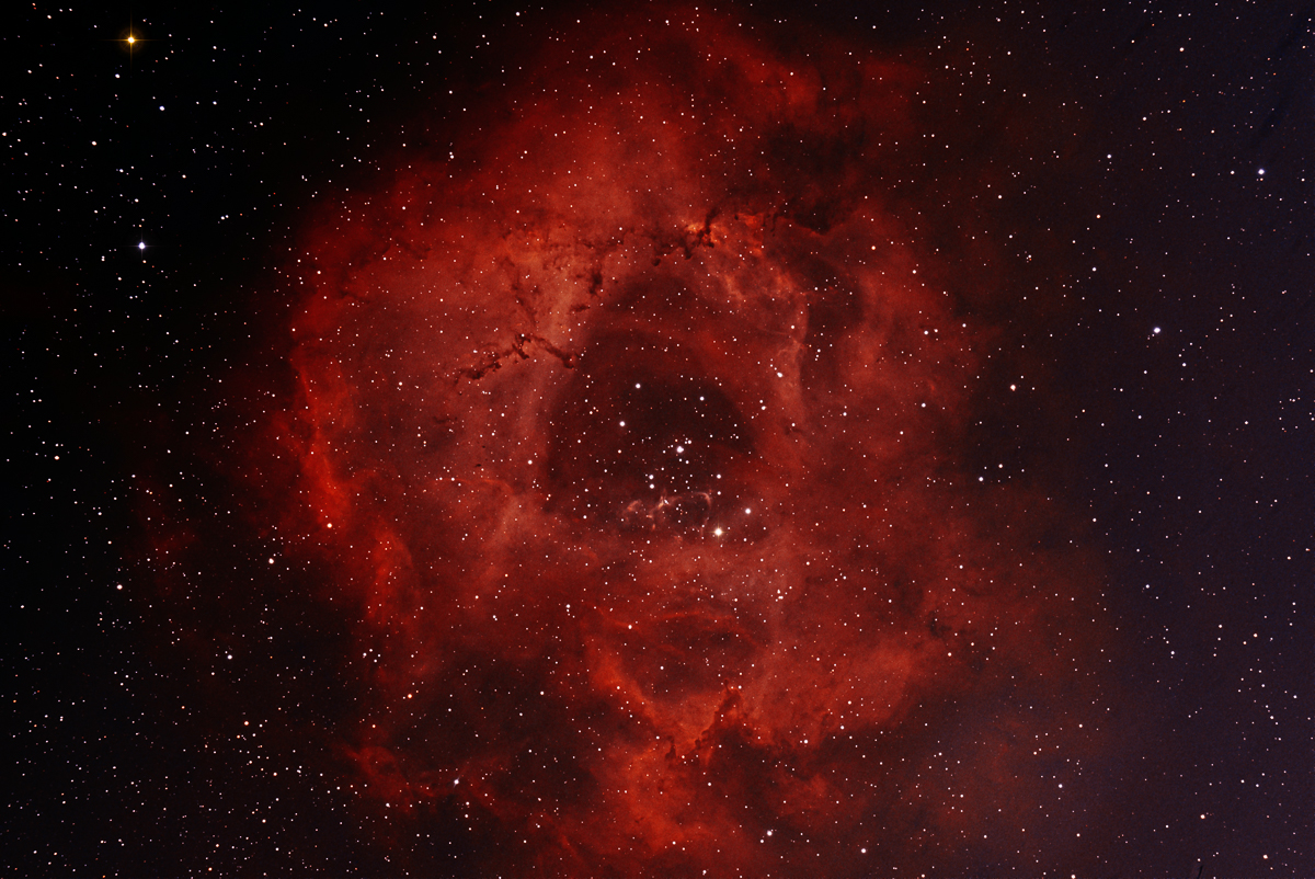 Rosett-nebulosan NGC 2244