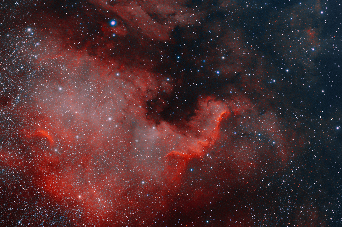 NGC 7000 Nordamerikanebulosan