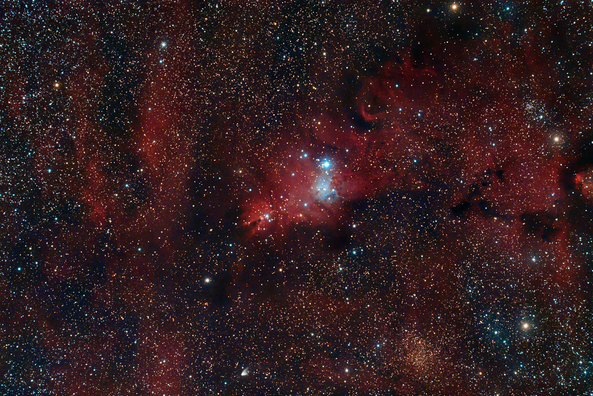 NGC 2264, Cone nebula and Christmas Tree