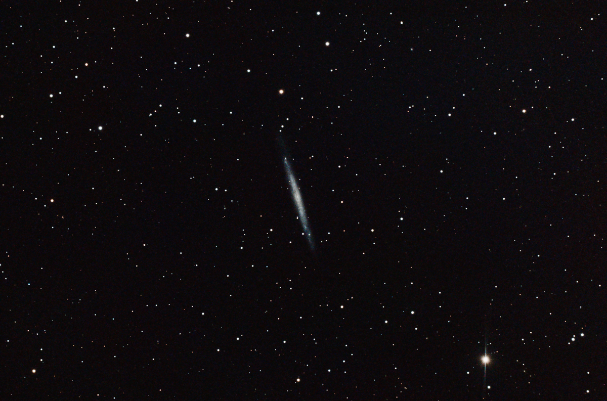 NGC 4244 Silvernålen