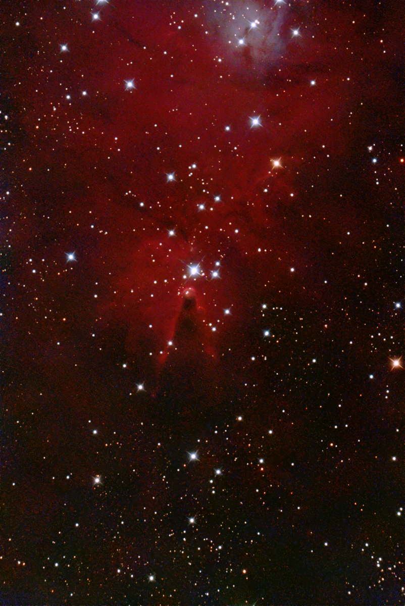 NGC 2264, Konnebulosan