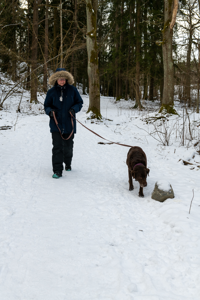 Hundpromenad till Älvsjö hundrastgård