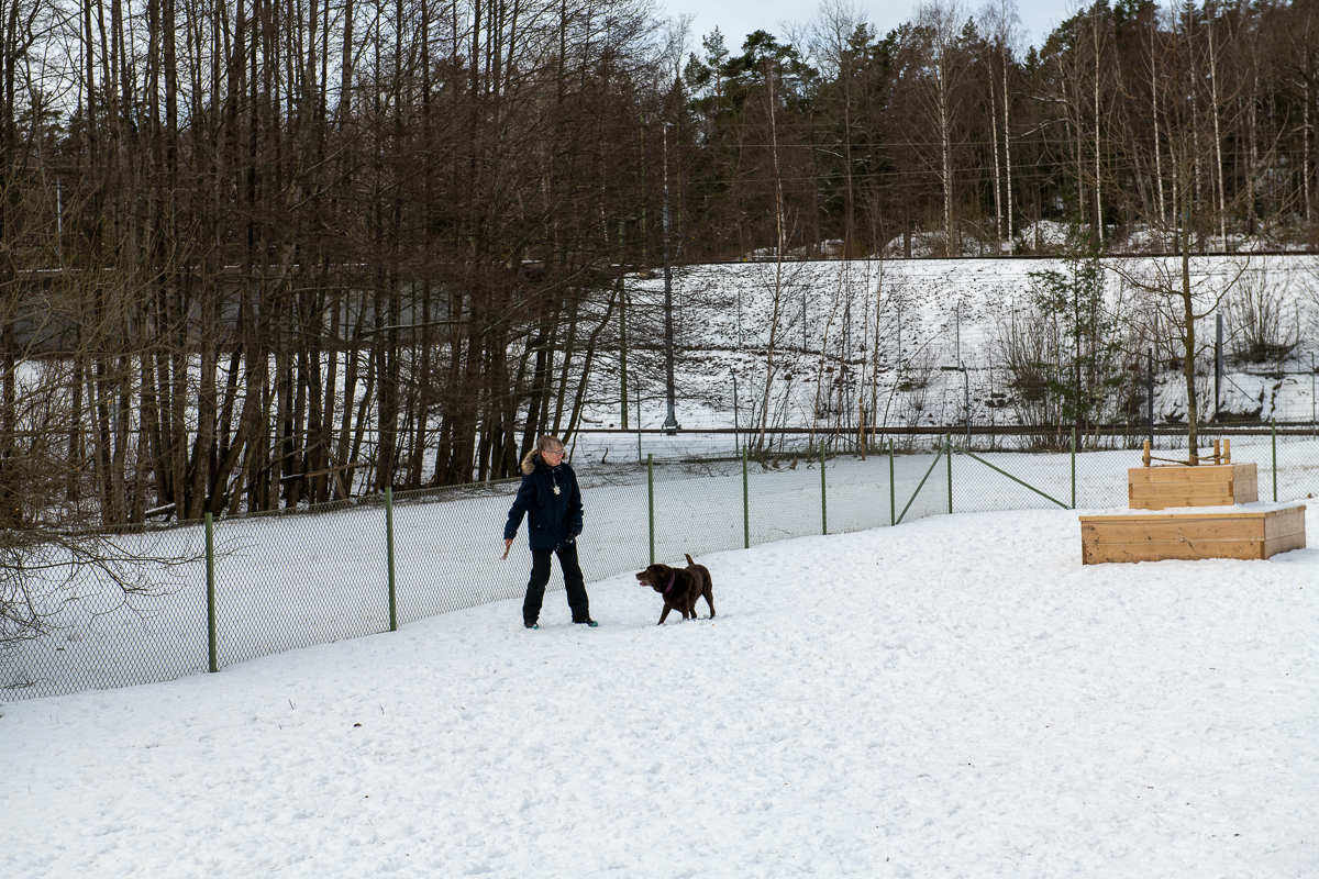 Hundpromenad till Älvsjö hundrastgård