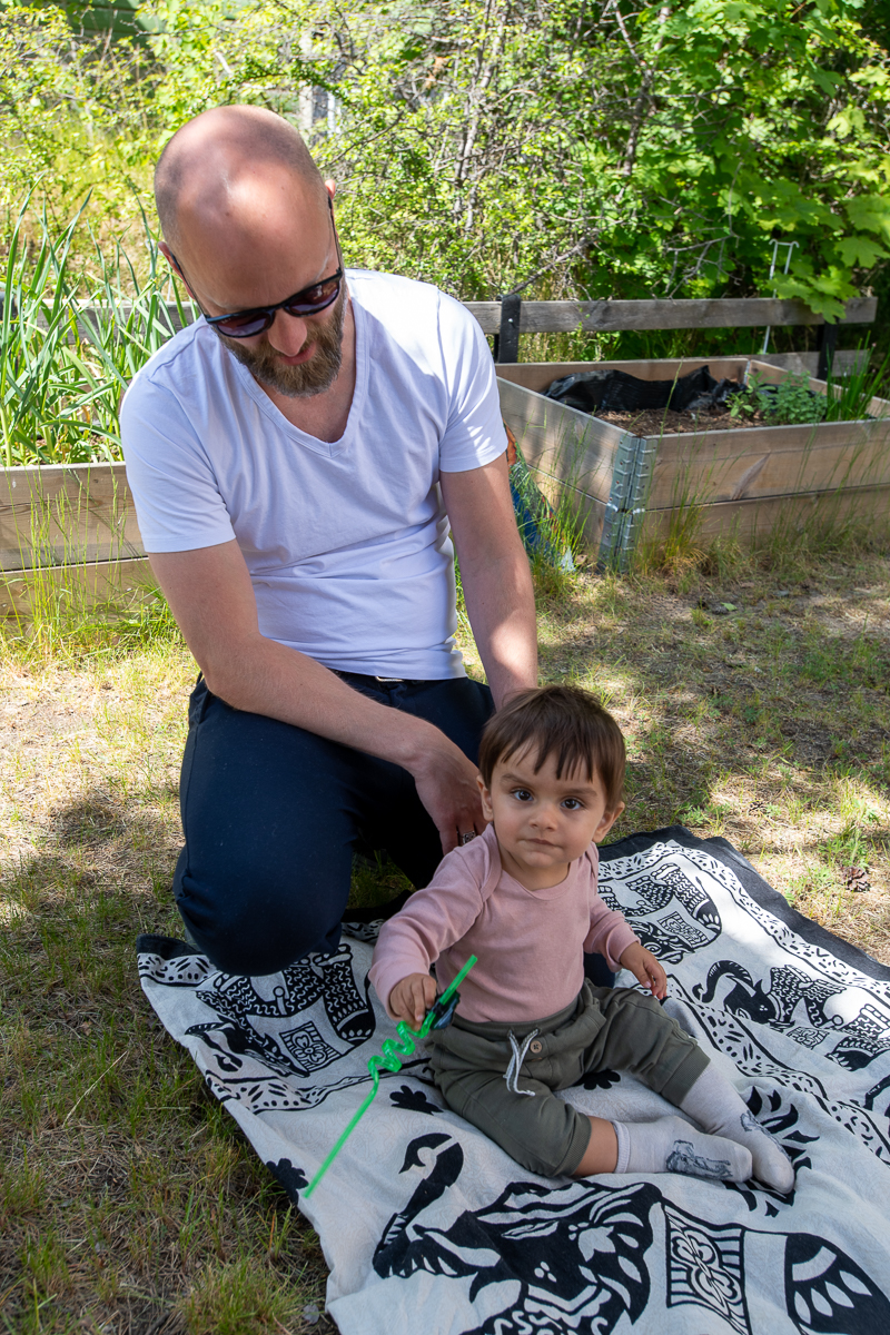 Otis får hålla till på sin elefantfilt