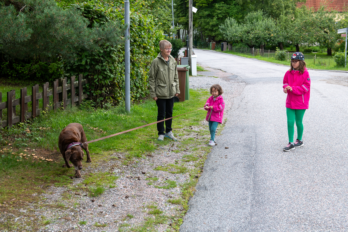 På hundpromenad