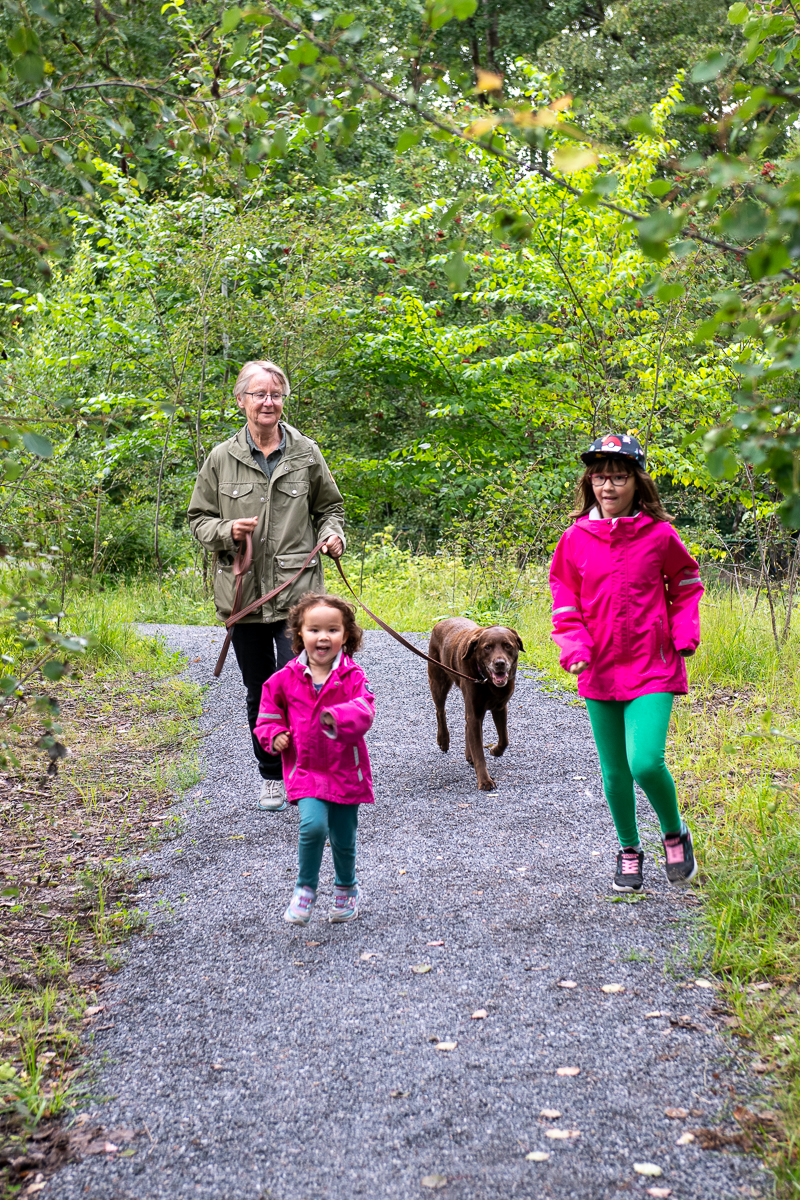 På hundpromenad