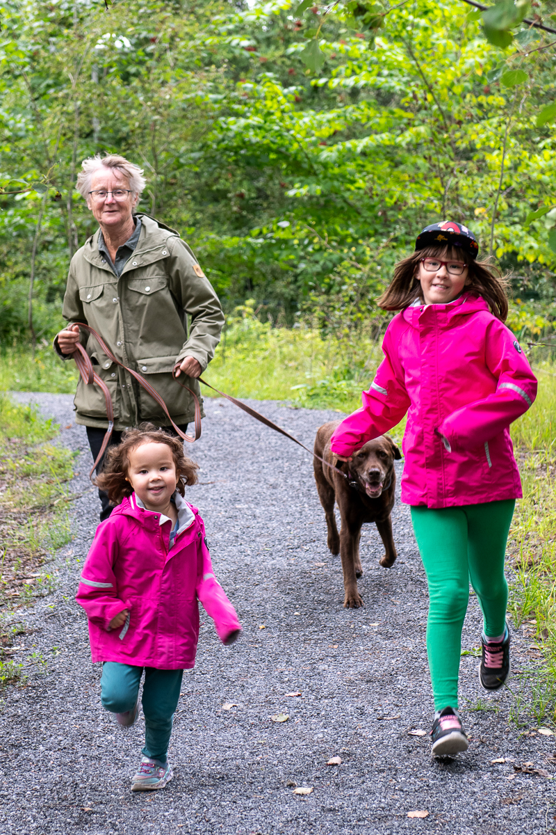 På hundpromenad