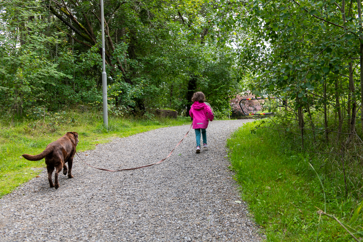 På hundpromenad