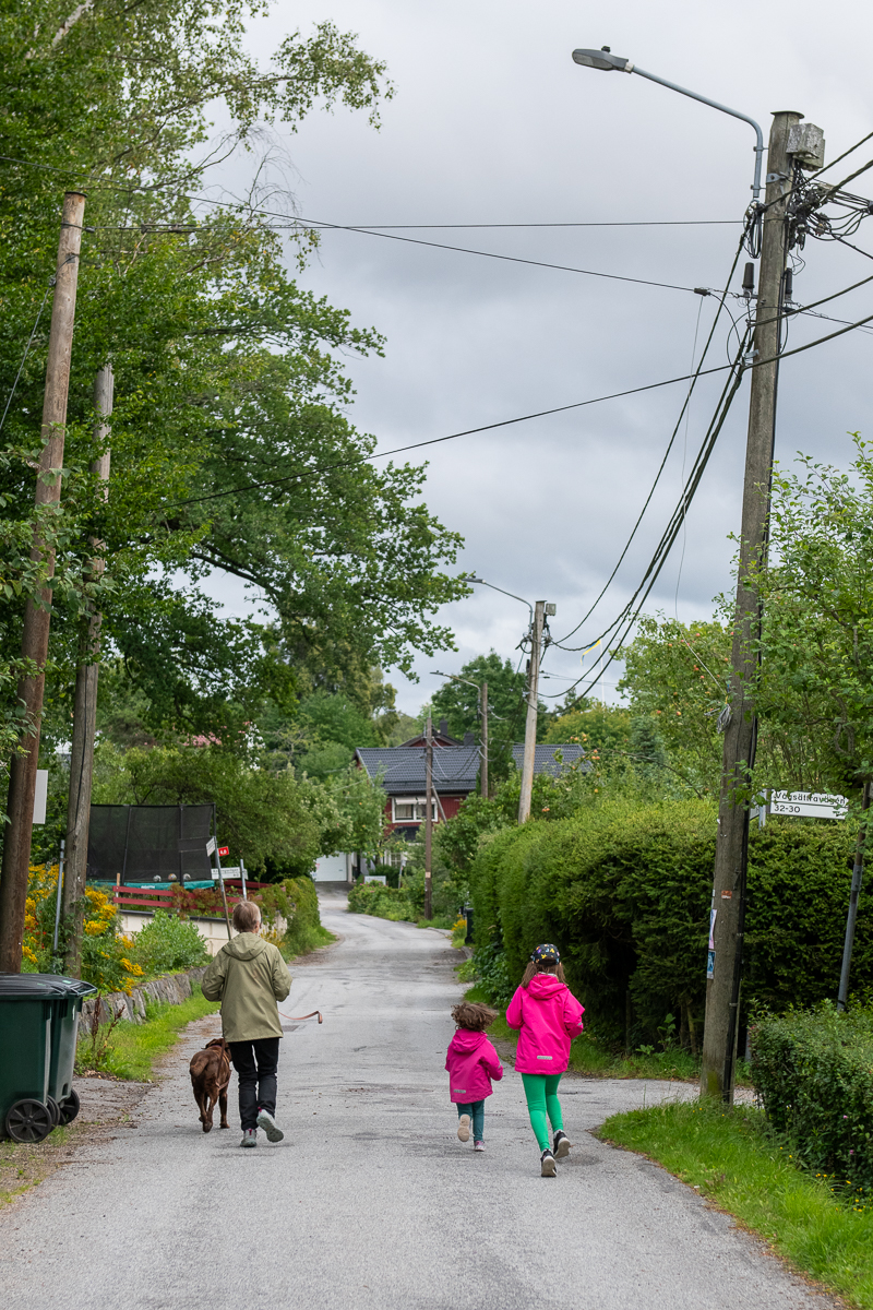 På hundpromenad