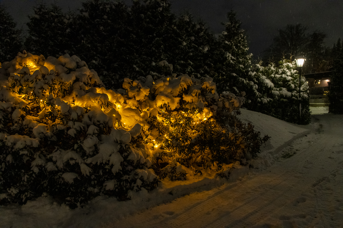 Snön kom tidigt i år