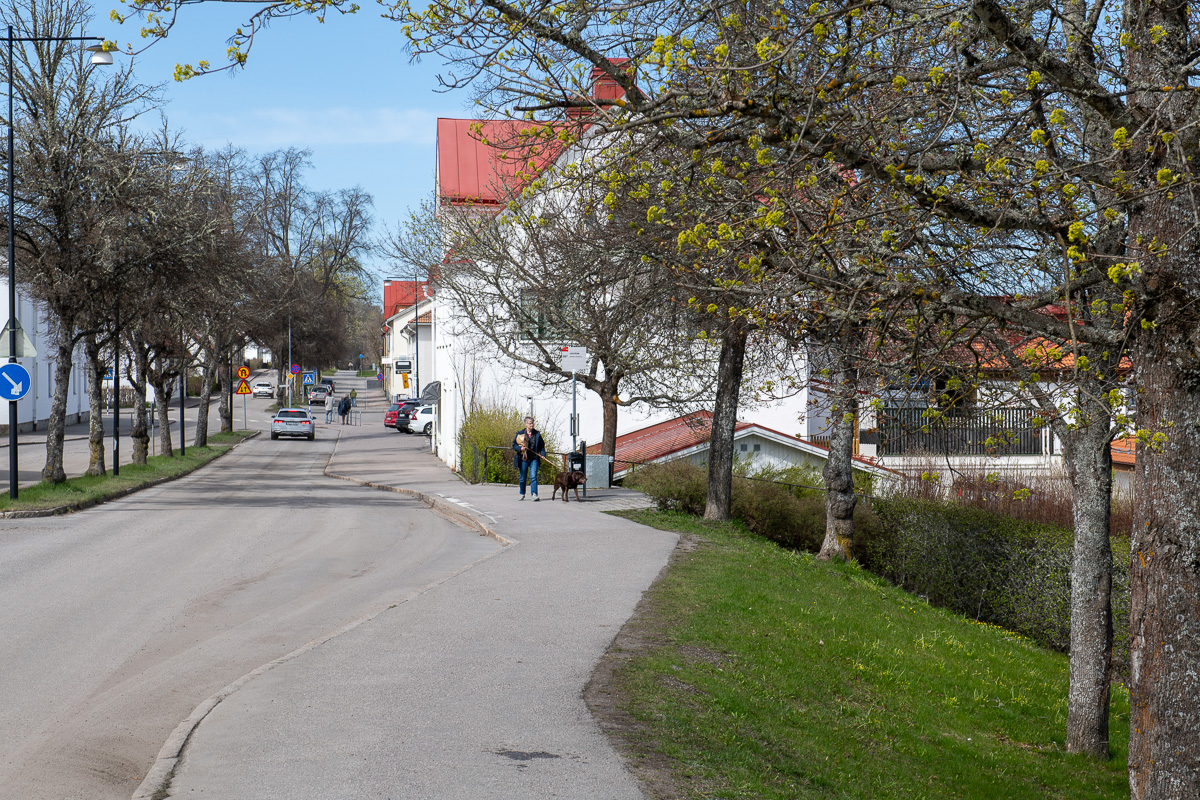 Stenhusgatan med Pia och Cola