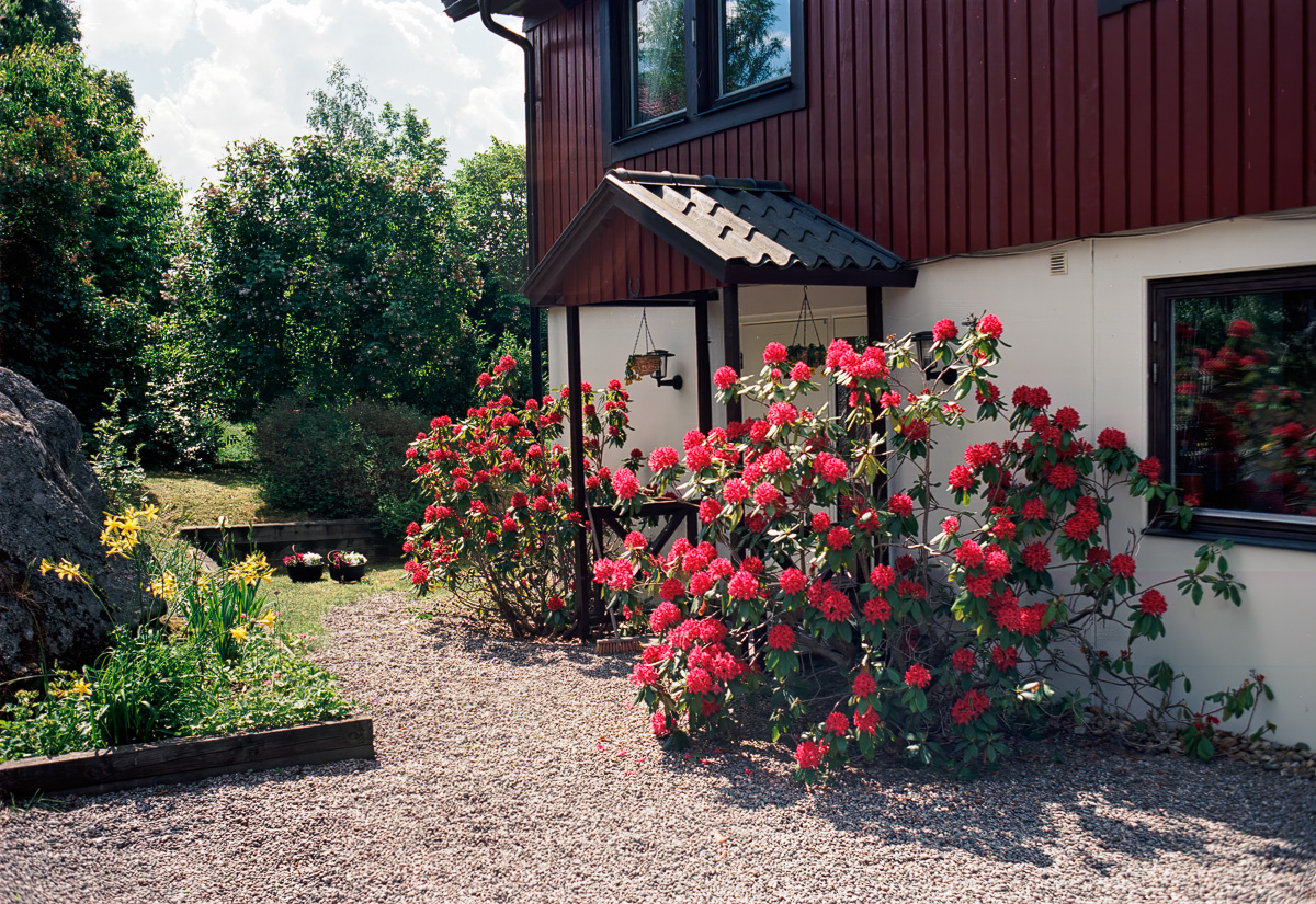 Blomsterprakt i Stuvsta