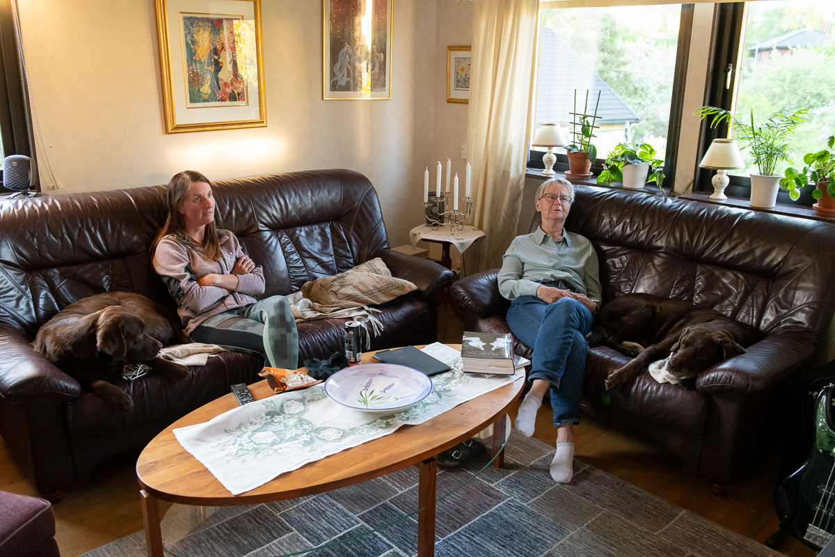 Essy, Karin, Pia och Cola - två bruna labradorer