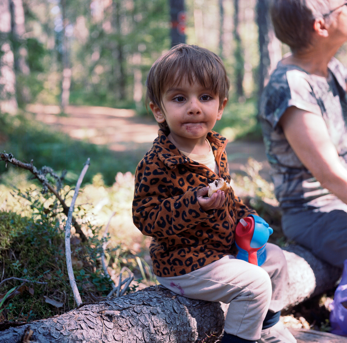 Utflykt i Tyresta Nationalpark