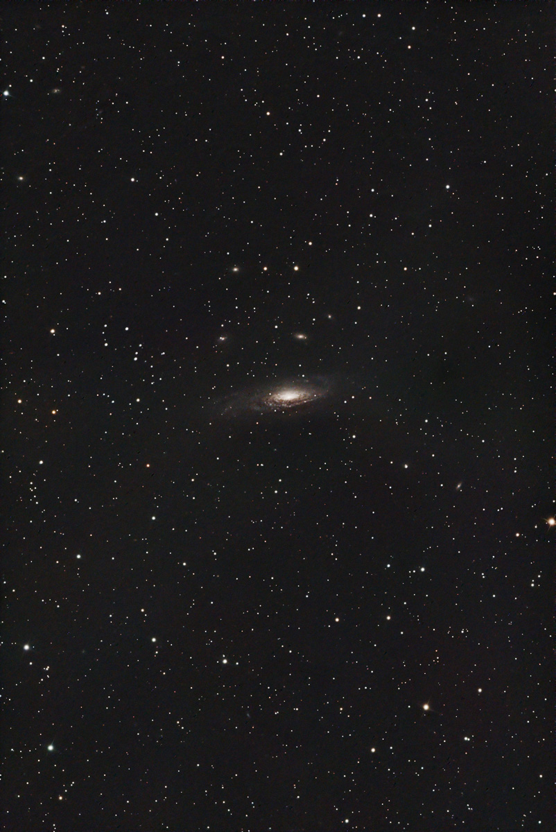 NGC 7331