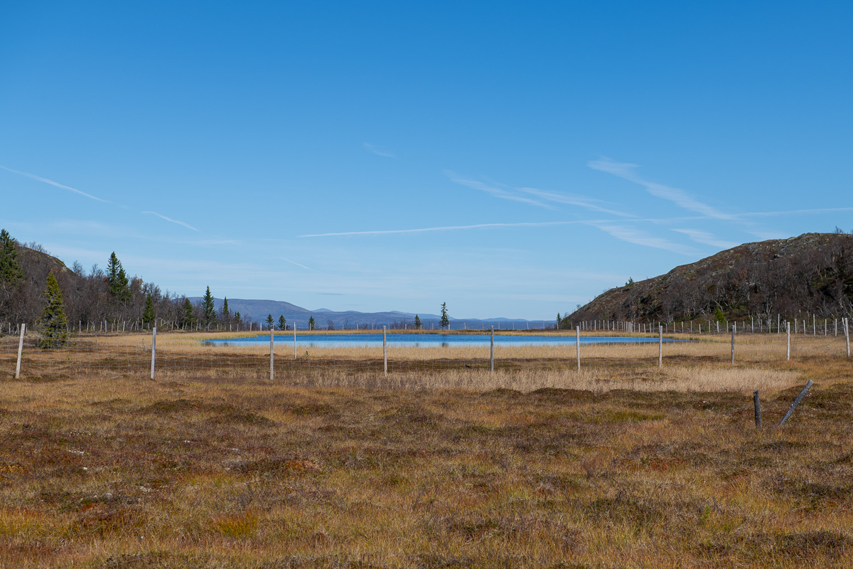 Vandring på Funäsdalsberget