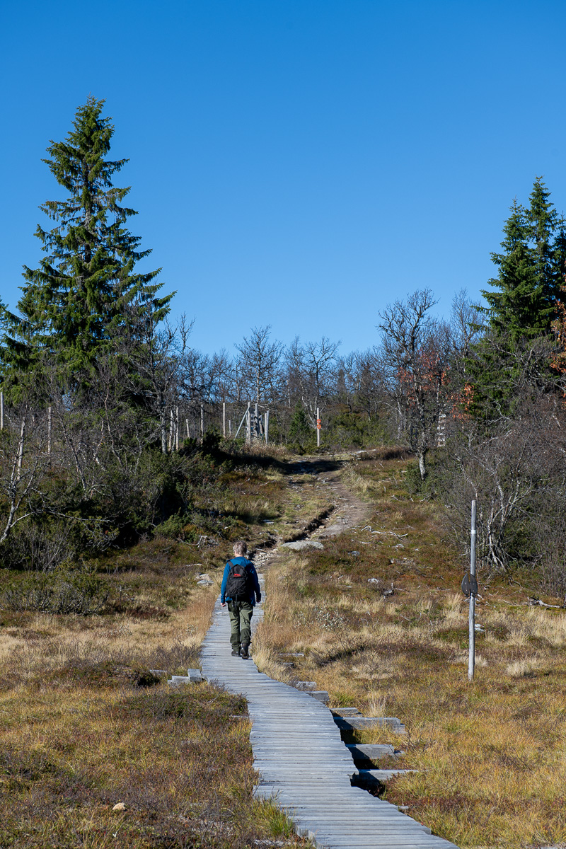 Vandring på Funäsdalsberget