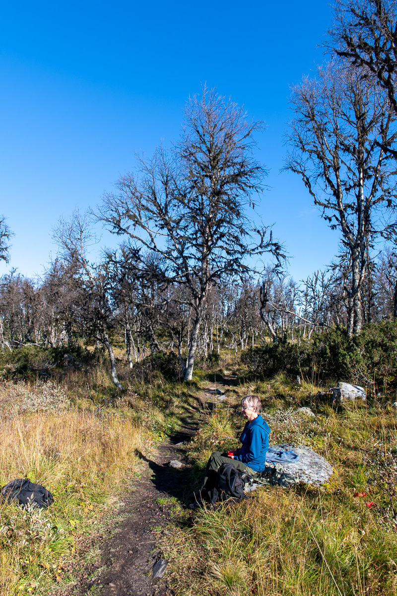 Fikapaus på väg upp till Malmagsvålen, 970 möh