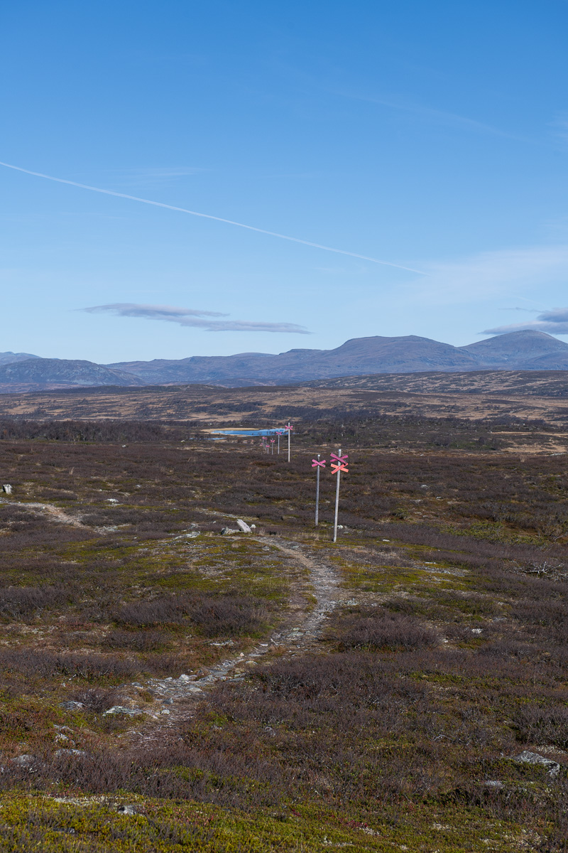 Utsikt från Malmagsvålen, 970 möh