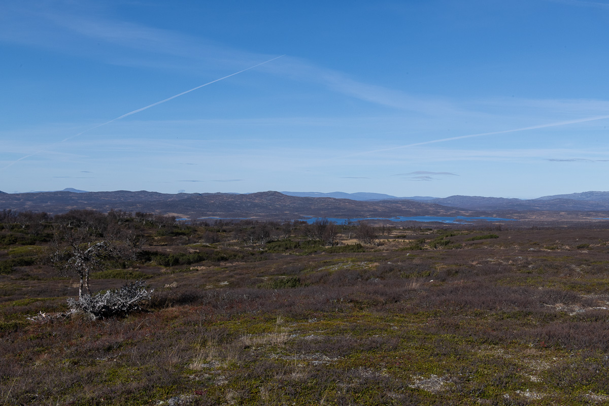 Utsikt från Malmagsvålen, 970 möh