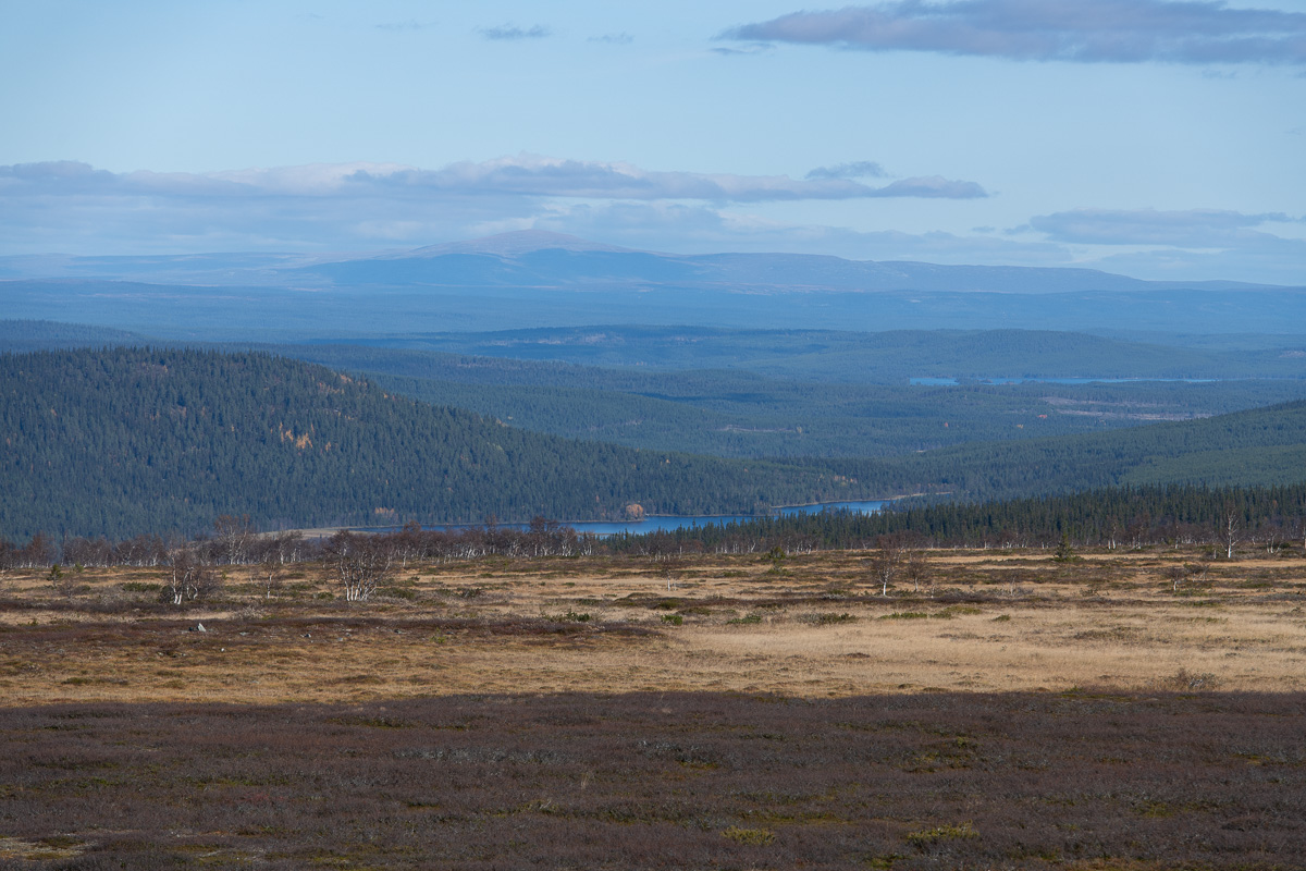 Utsikt från Flatruet