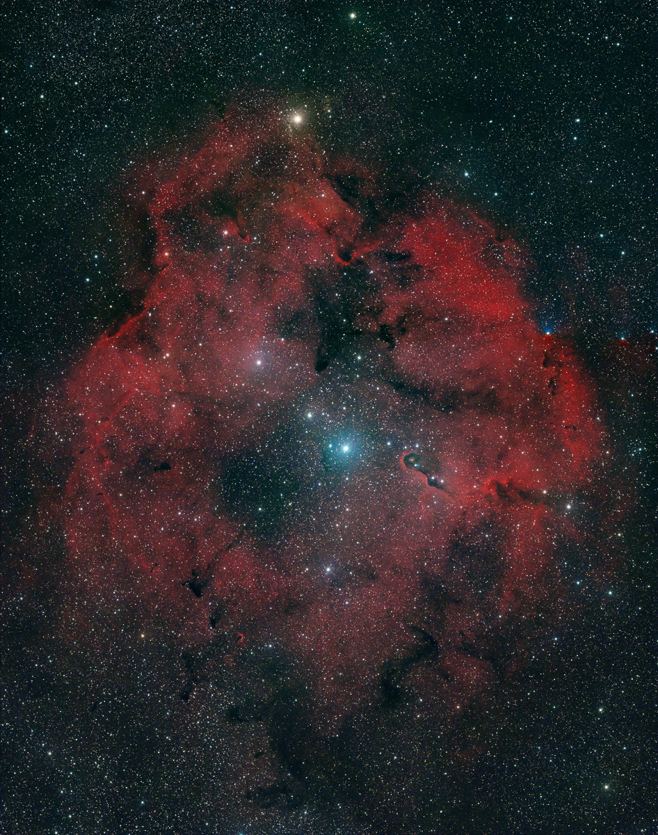 IC 1396, Elephant trunk