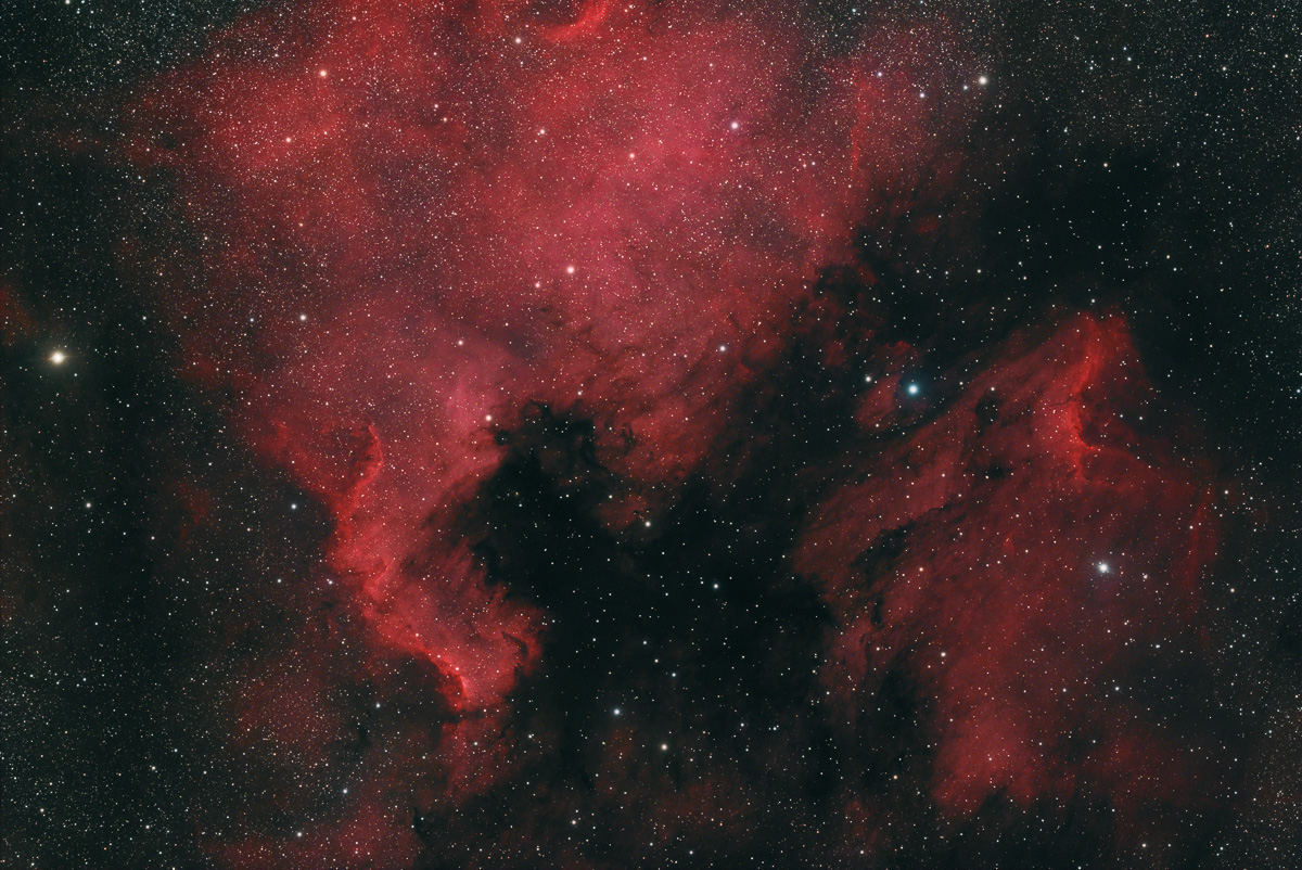 North America Nebula (NGC 7000) and Pelican Nebula (IC 5070)