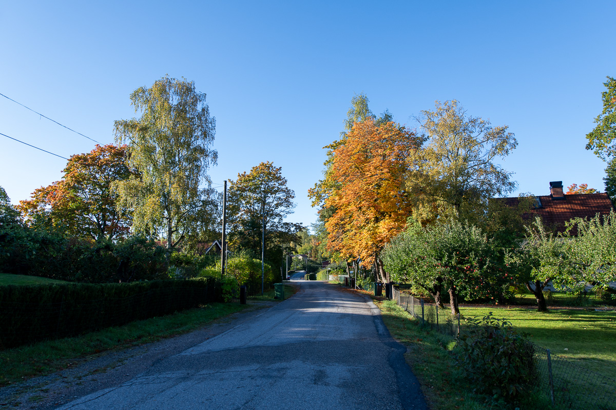 En höstvandring i Stuvsta och Hagsätra