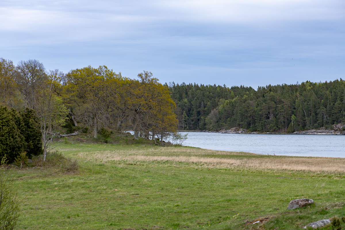Åvaviken