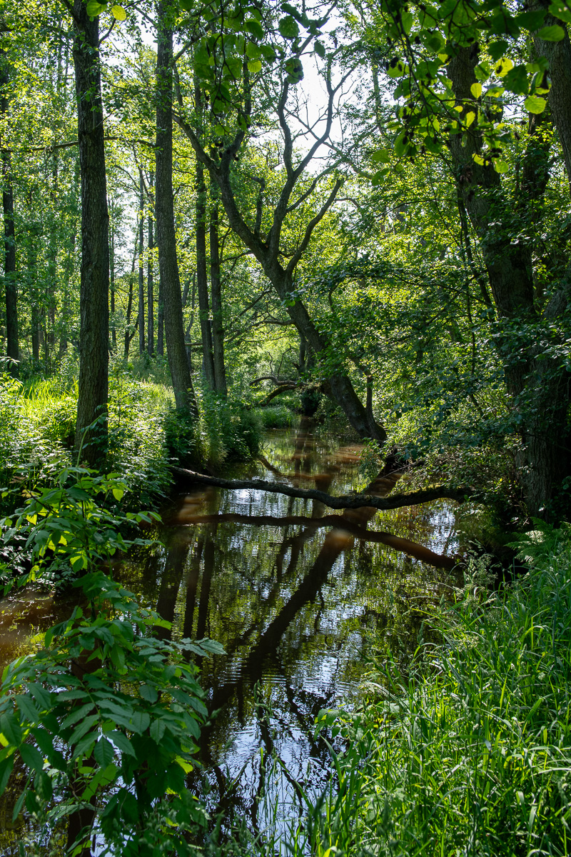 Brömsebäcken är gräns mellan Småland och Blekinge