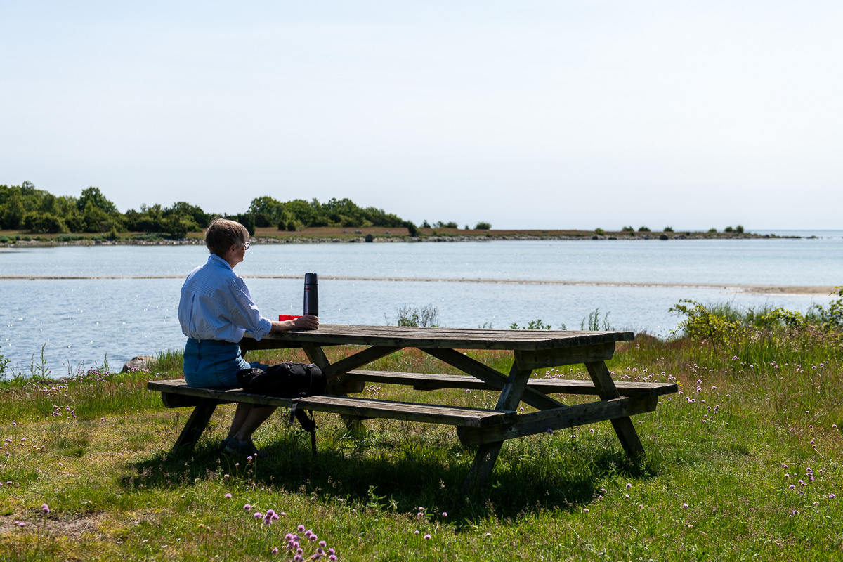Fika vid Olsängs strandängar